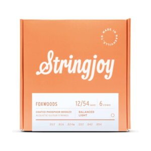 Stringjoy Foxwoods | Light Gauge (12-54) Coated Phosphor Bronze Acoustic Guitar Strings